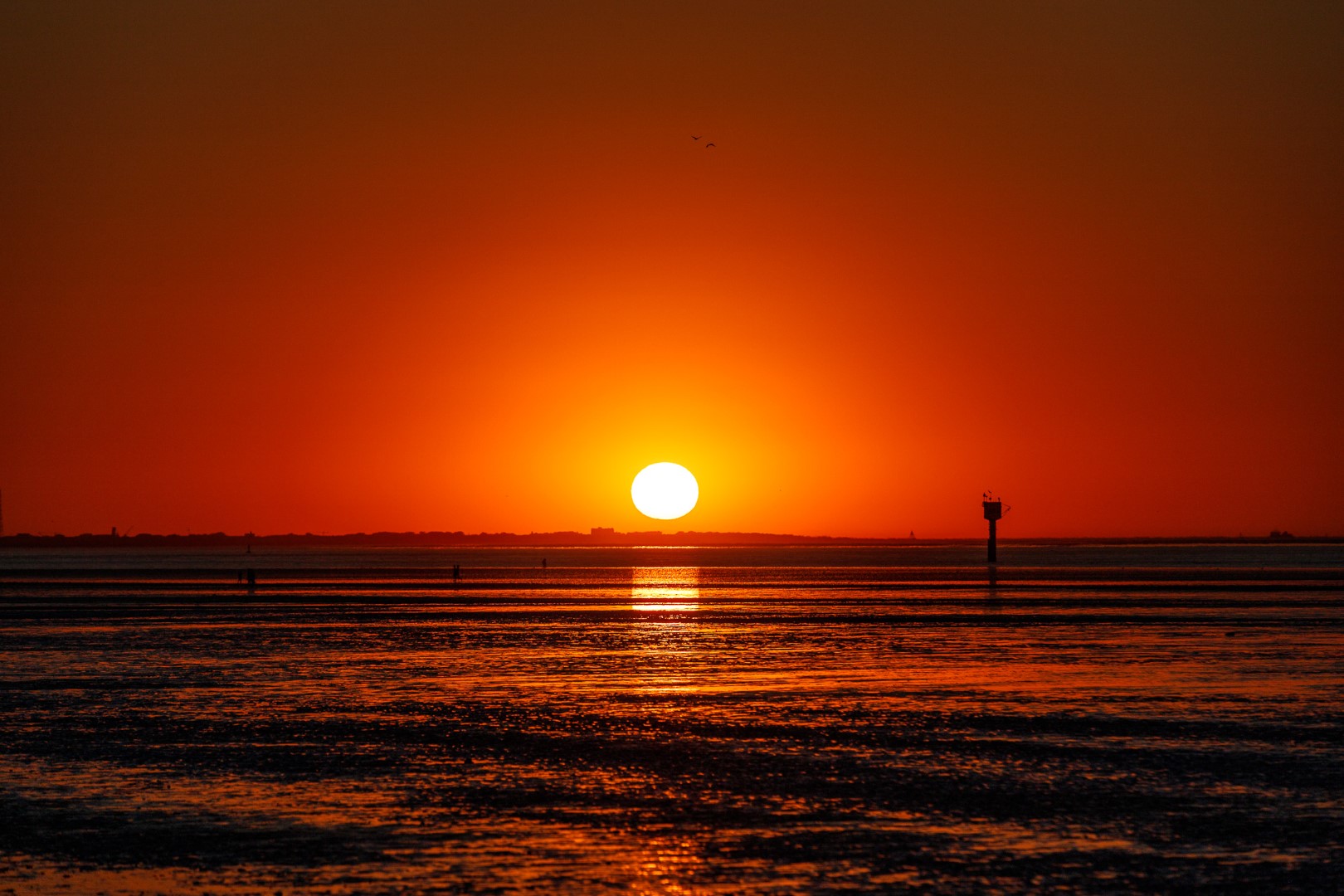 Sonnenuntergang an der Elbe